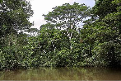 赛博朋克动作冒险游戏《Sky Dust》Steam页面 发行日期待定